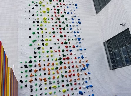 Photo 1 in Outdoor Climbing Wall