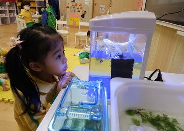 幼儿学习成果分享