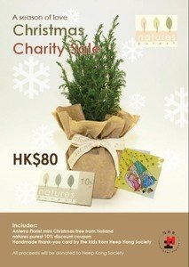natures purest 迷你聖誕樹由荷蘭進口，每棵$80港元，所得款項悉數撥捐協康會
