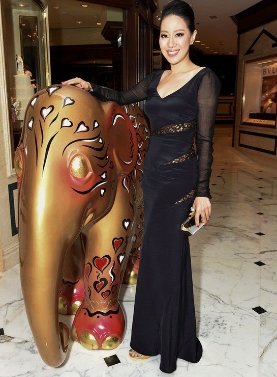 大象巡遊圓滿結束 Shine Bright拍賣所得捐助協康會圖片3